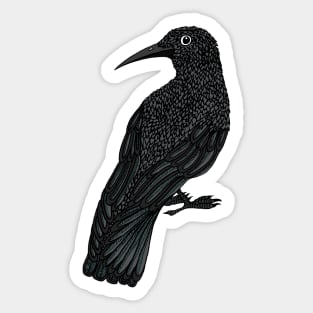 Black Crow Sticker